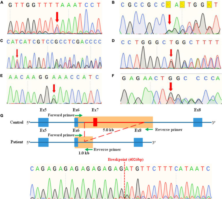 FIGURE 3