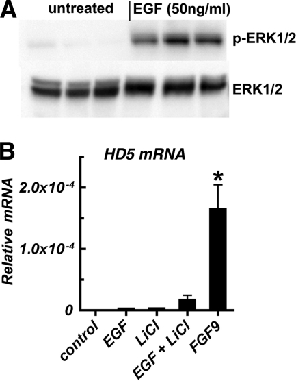 FIGURE 9.