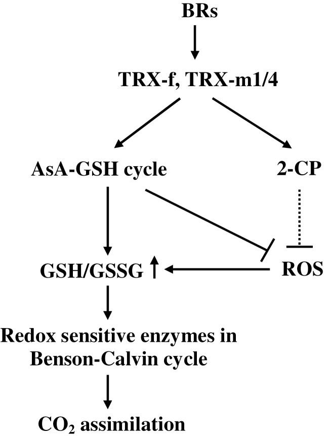 Fig. 8.