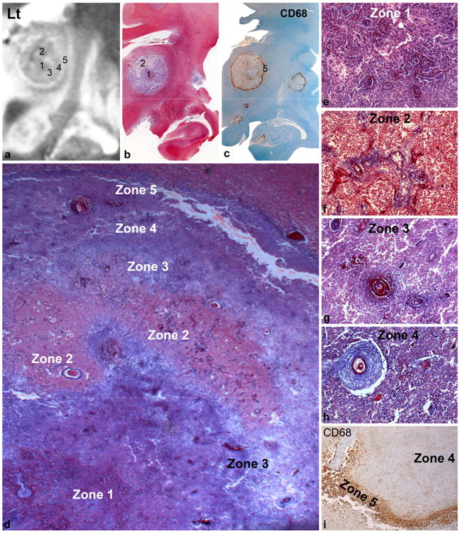 Fig.3