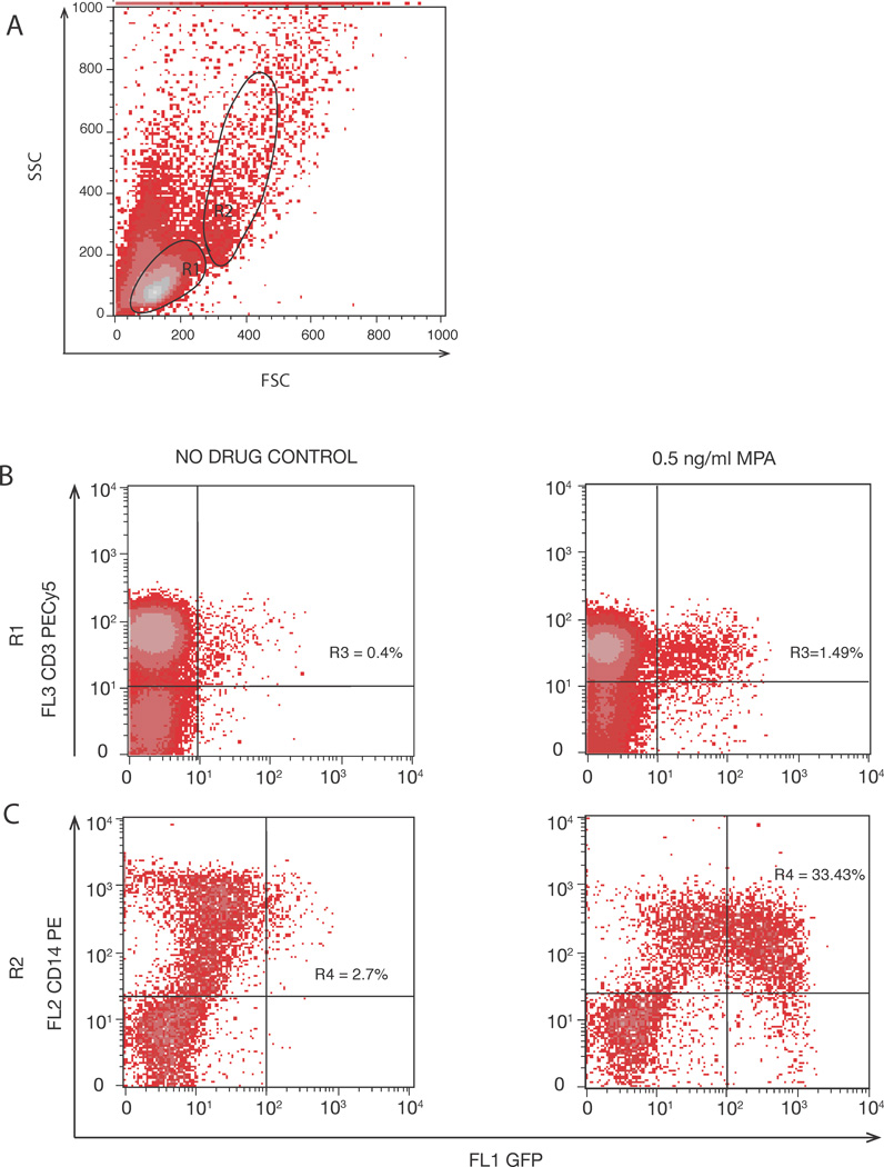 FIGURE 1