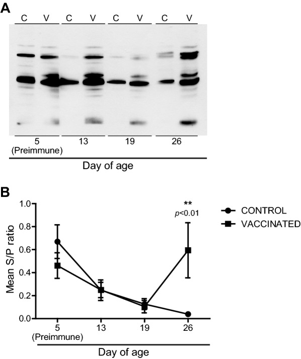 Figure 4