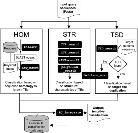 FIG. 1.—