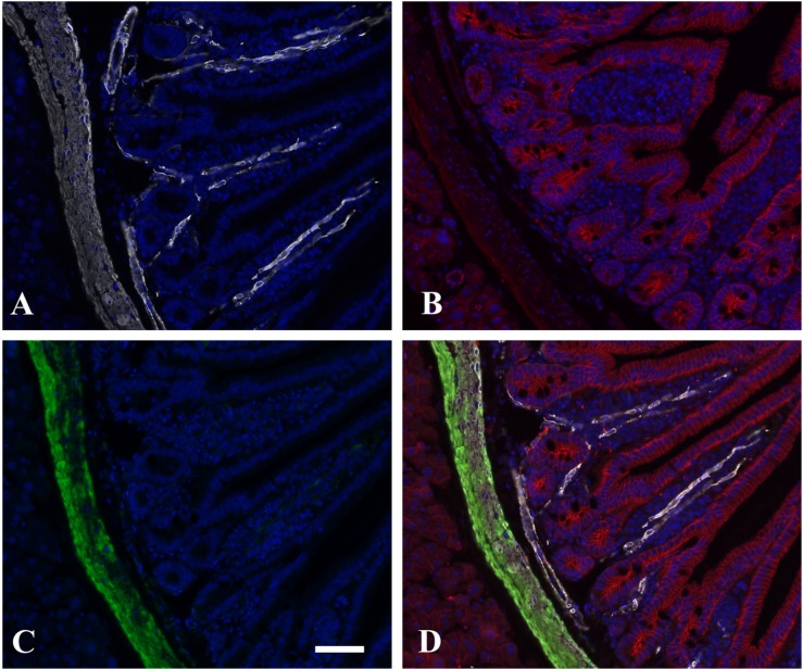 Figure 4.