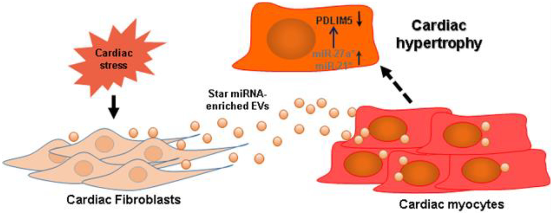 Figure 10.