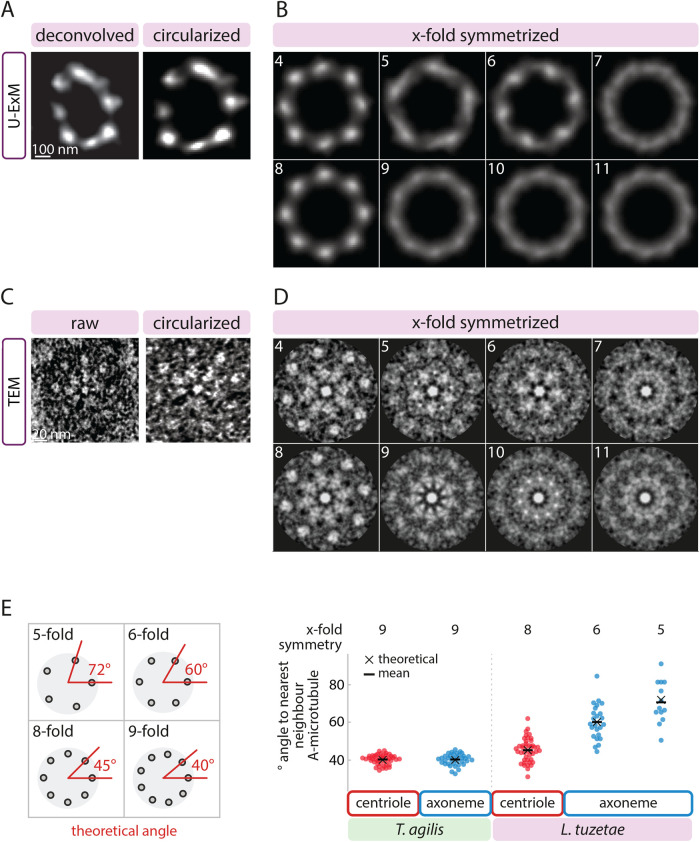 FIGURE 4: