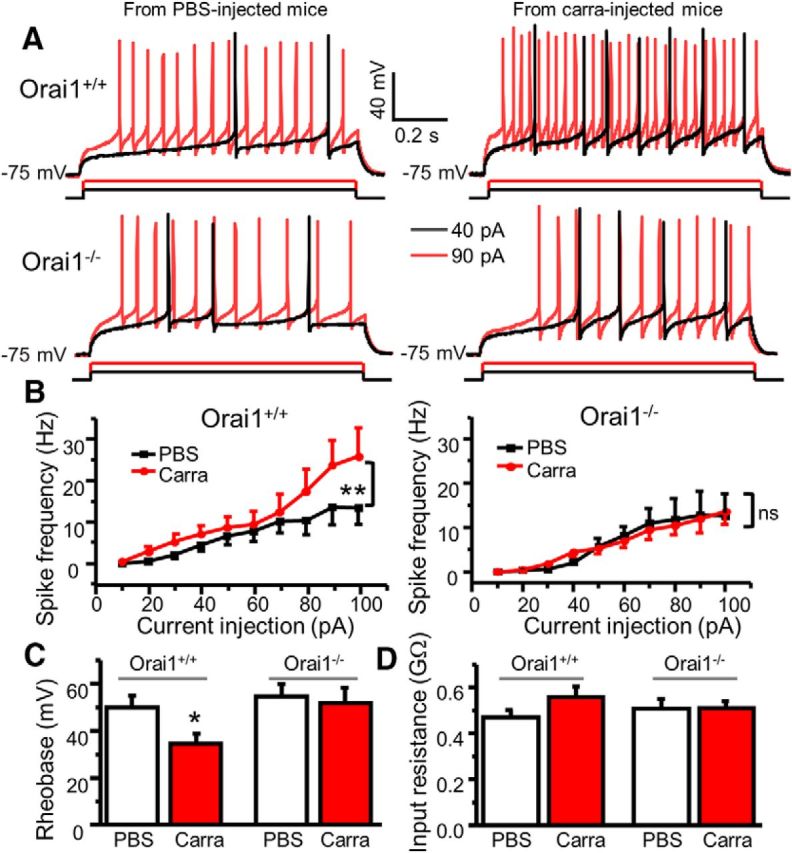 Figure 11.