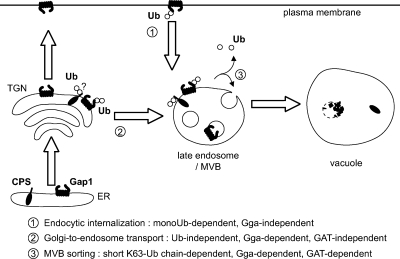 Figure 5.