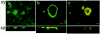FIG. 4.