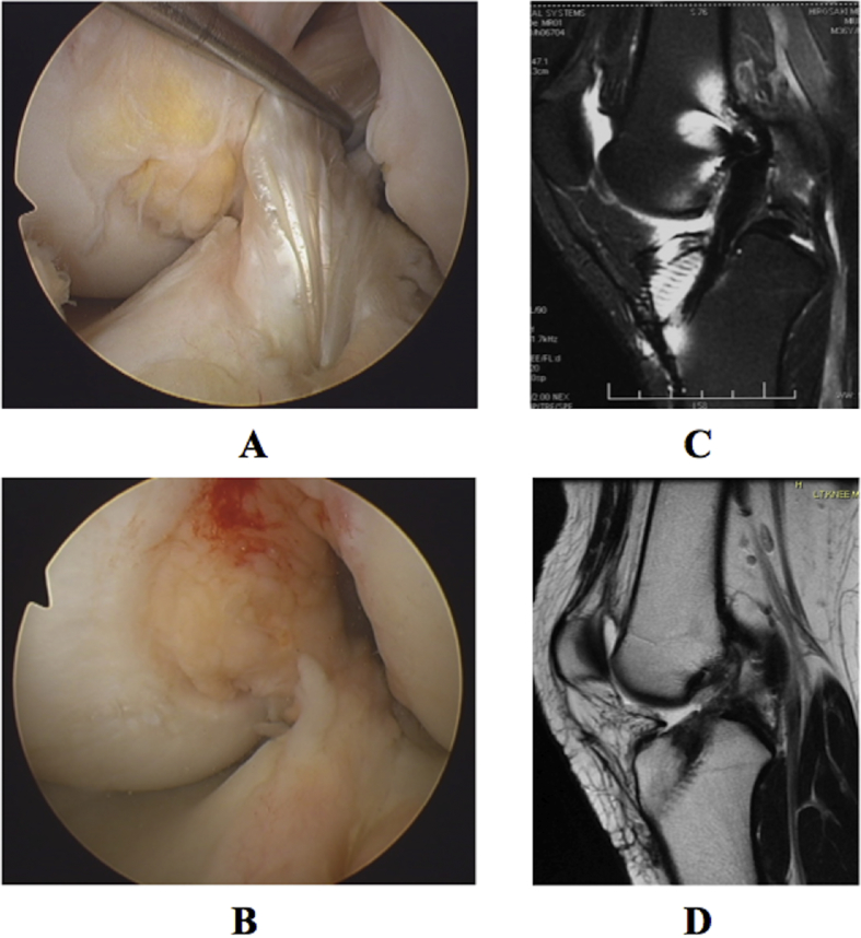 Figure 5