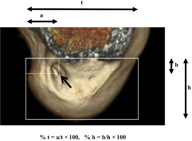 Figure 1