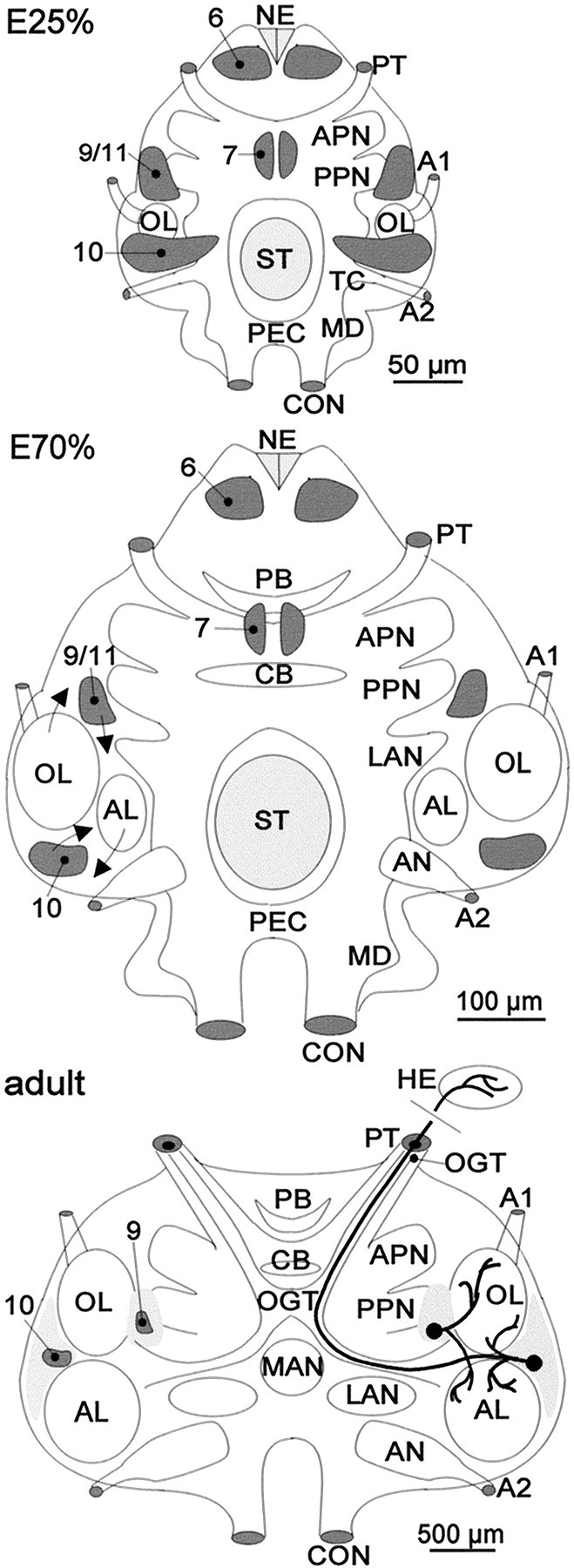 Fig. 3.