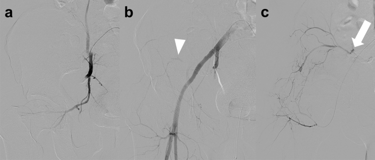 Fig. 8