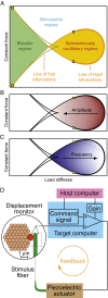 Fig. 1.