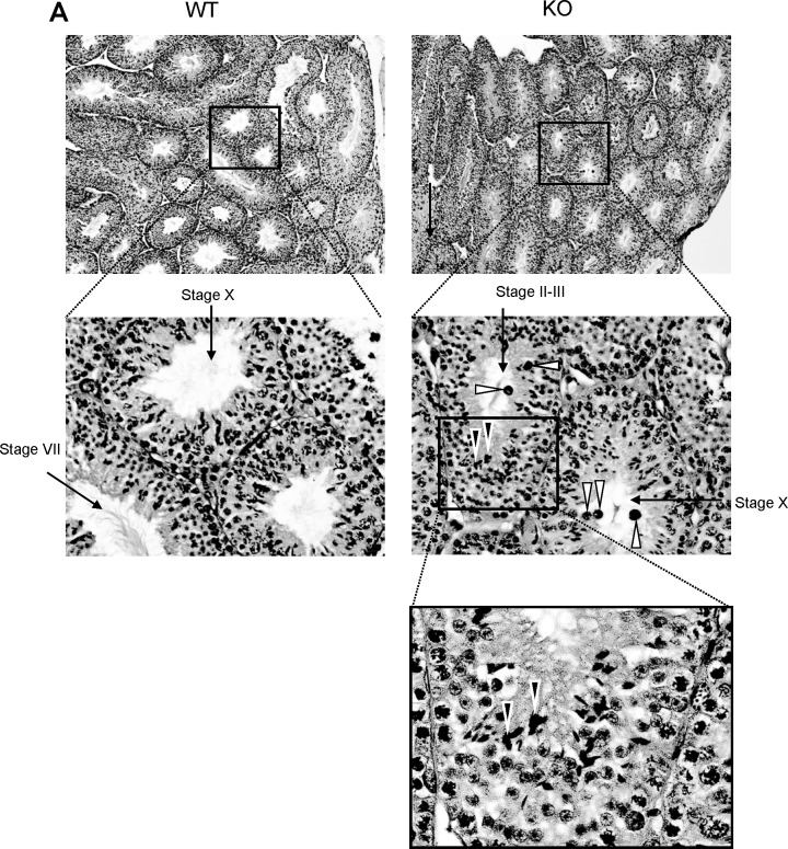 FIG. 5.