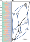 Fig. 6
