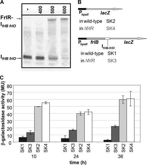 Fig. 5.