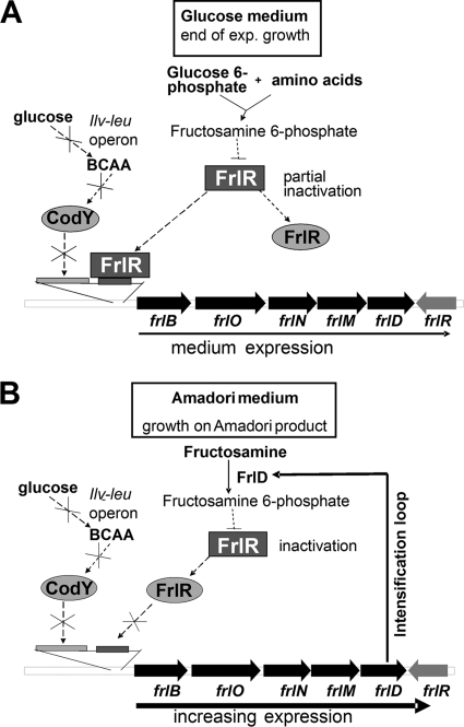 Fig. 7.