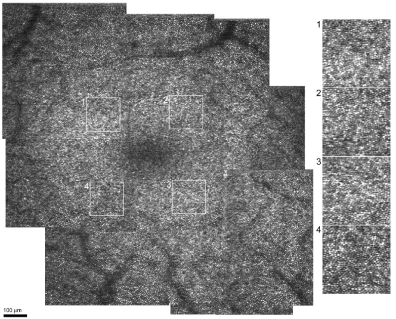 Fig. 8