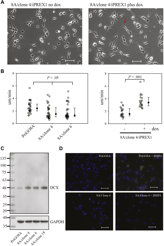 Figure 5