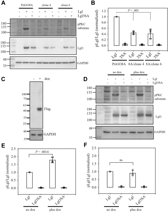 Figure 2