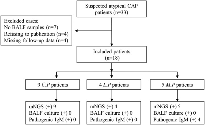 FIGURE 1