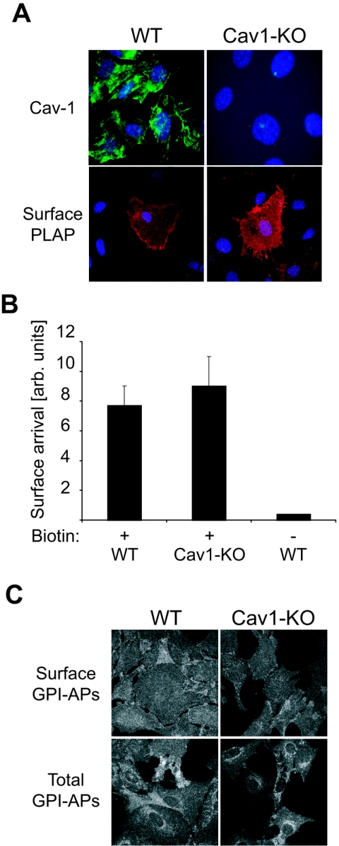 FIG. 6.