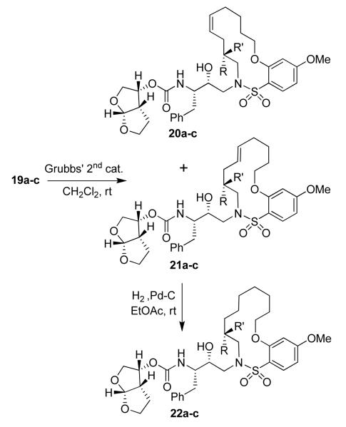 Scheme 5