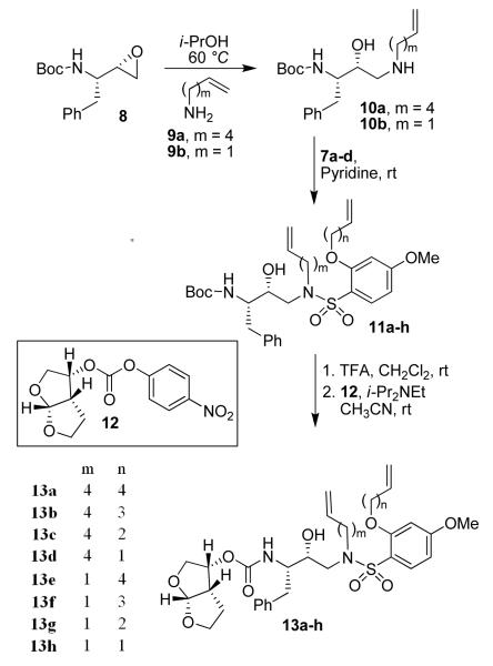 Scheme 2