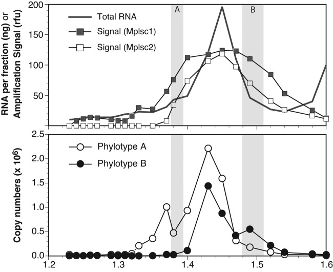 FIG 1 