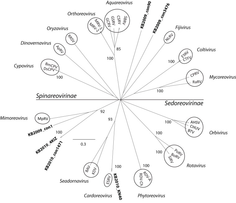 FIG 3 