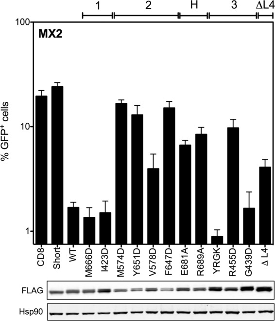 FIG 2