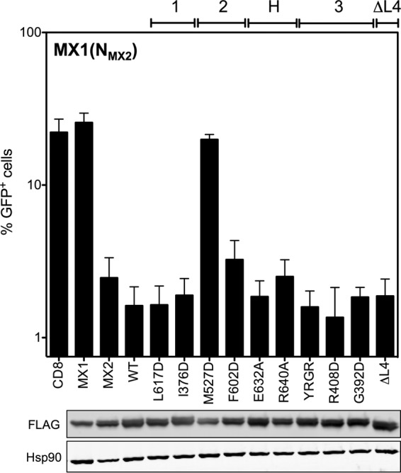 FIG 5