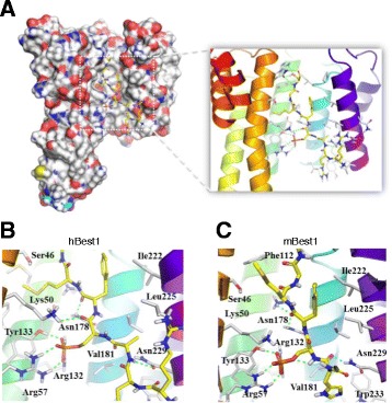 Fig. 3