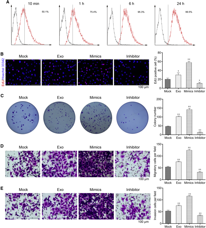 Figure 6