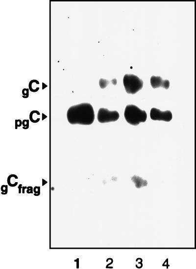 FIG. 10