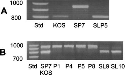 FIG. 11