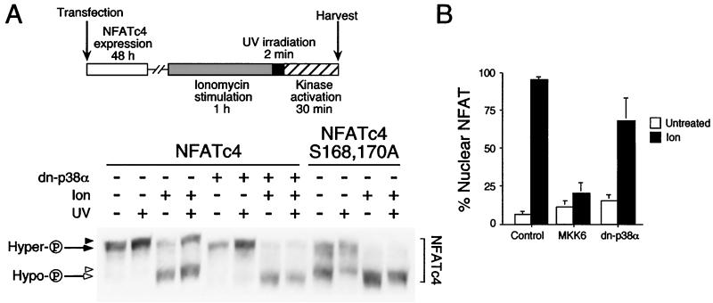 FIG. 4.