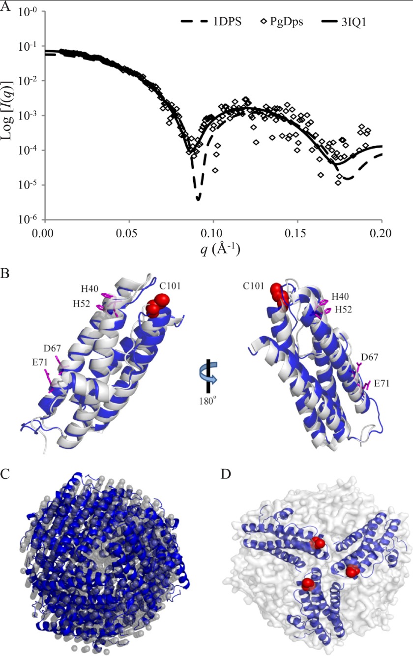 FIGURE 6.