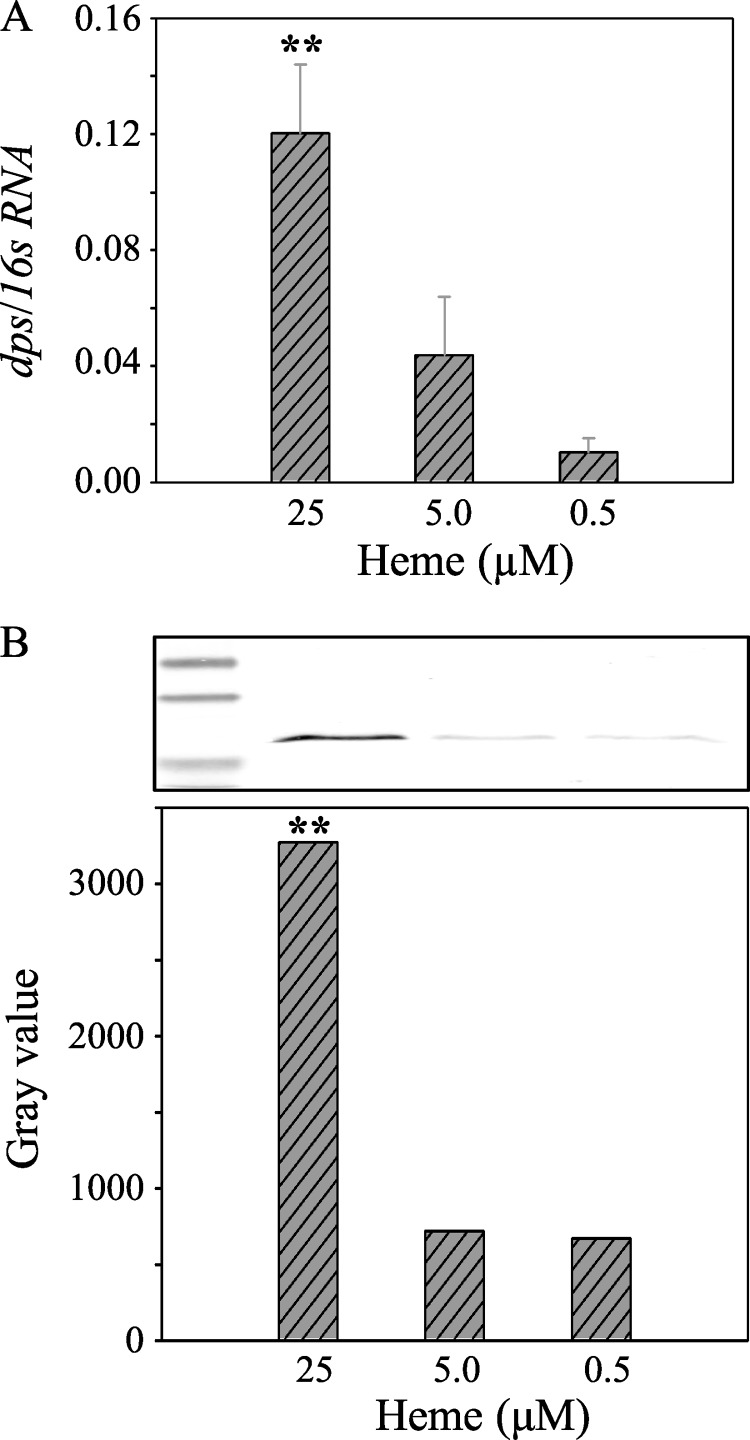 FIGURE 10.