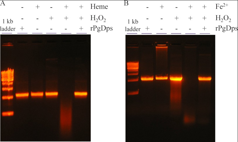 FIGURE 11.