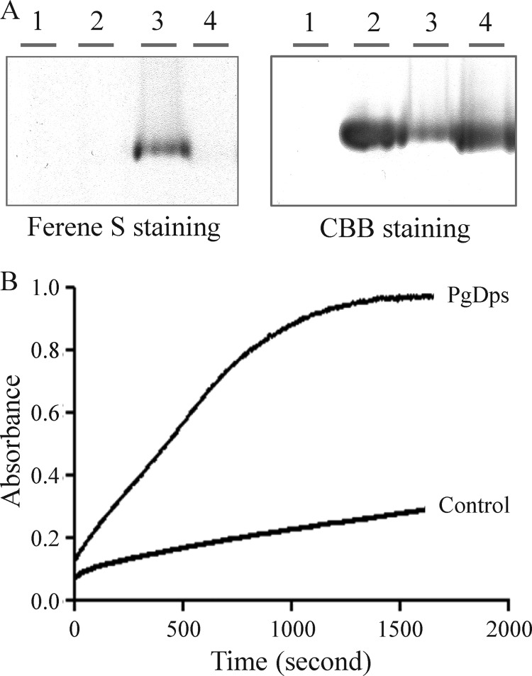 FIGURE 12.