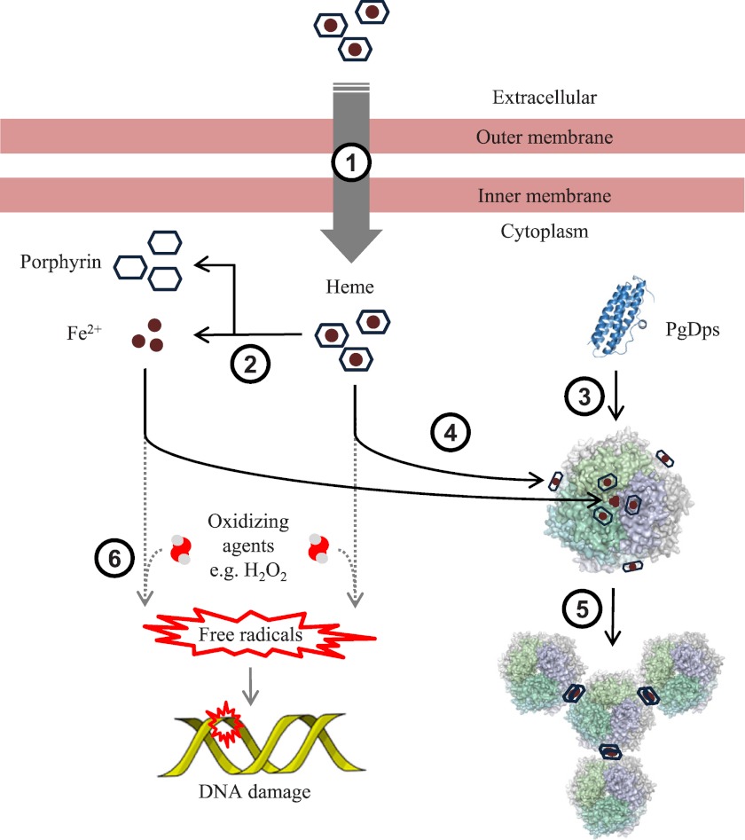 FIGURE 13.