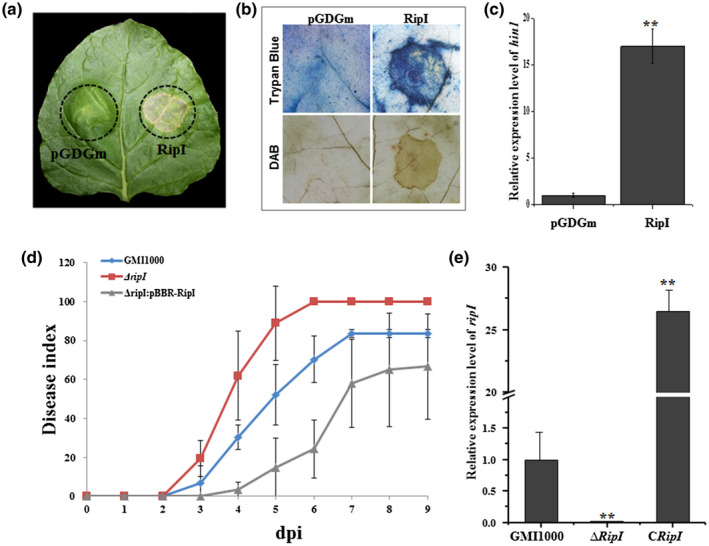 FIGURE 1