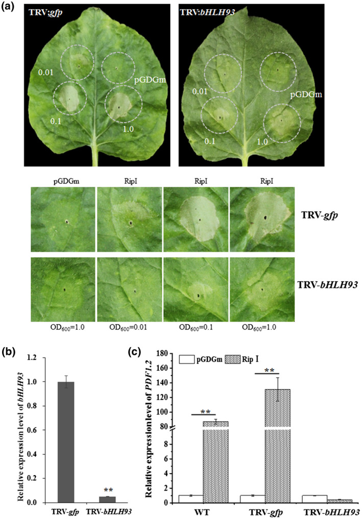 FIGURE 3