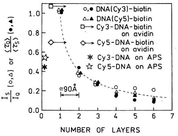 Fig. 12