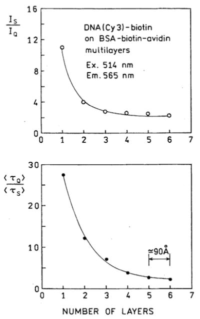 Fig. 10