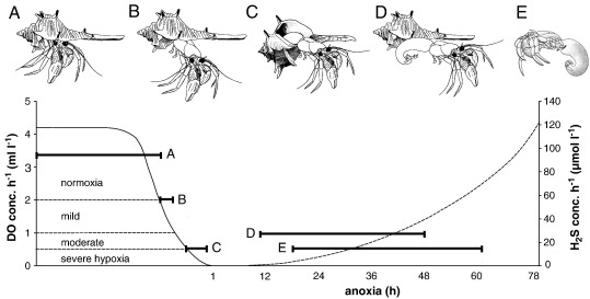 Fig. 5