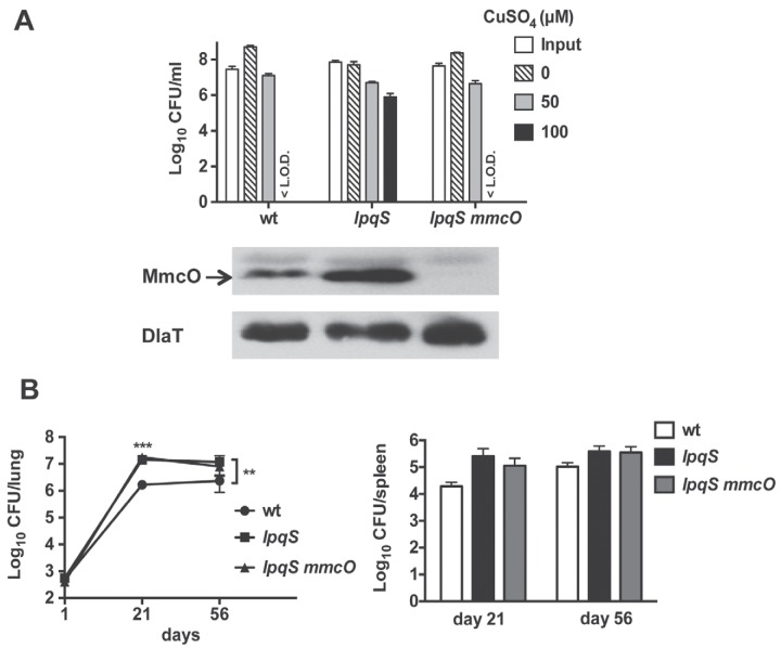 FIG 4 