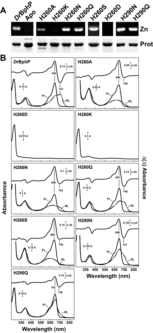 FIGURE 7.